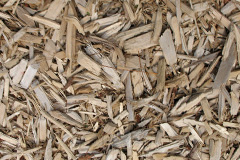 biomass boilers Hastingleigh